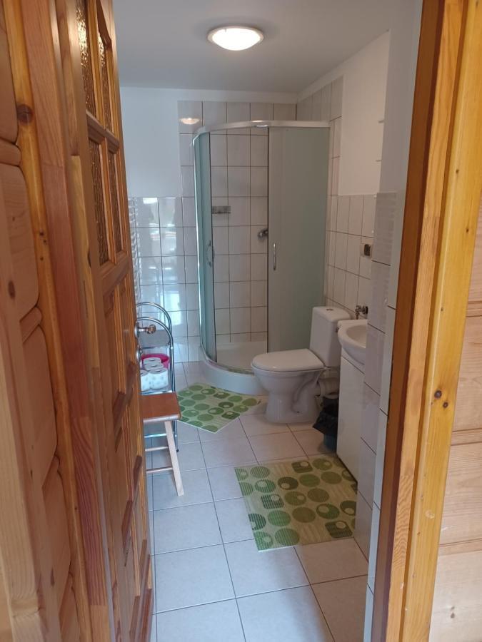 Przy Potoku Apartment Zakopane